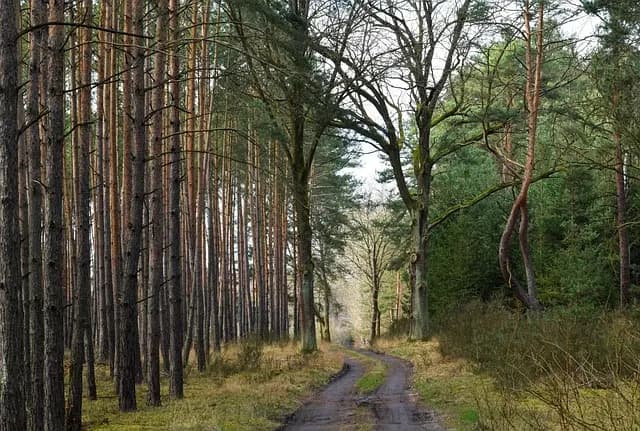 How to Identify Opportunities on Your Influencer Path