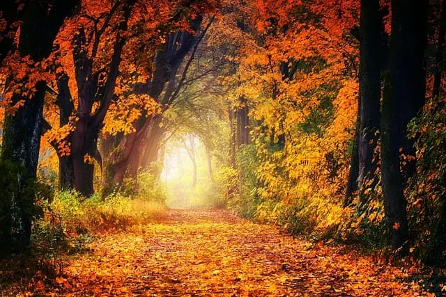 The Essential Steps to Define Your Influencer Path