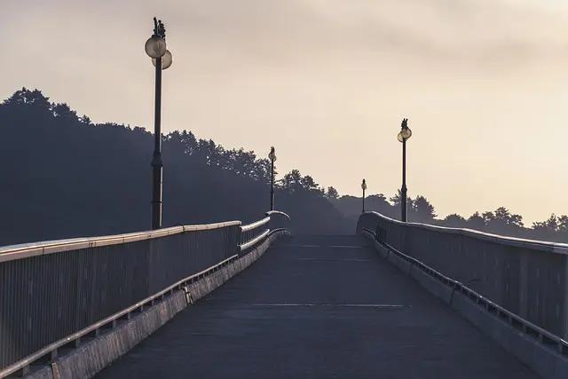 Essential Tips for Crafting Your Influencer Path