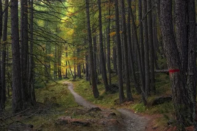 How to Stay Ahead in the Evolving Influencer Landscape