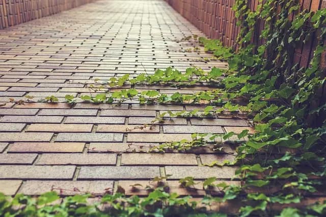 5 Essential Steps to Evolve Your Influencer Path for Growth