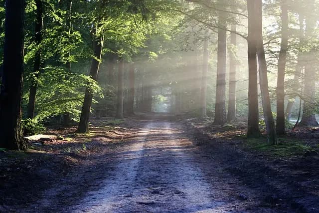 The Impact of AI on Your Influencer Path