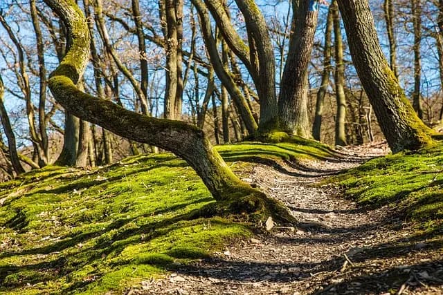 Essential Steps to Craft Your Influencer Path Effectively