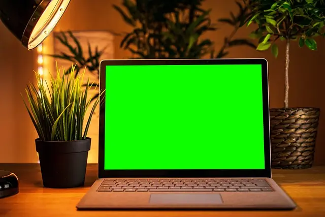 Essential Strategies for Growing Your Influence Online