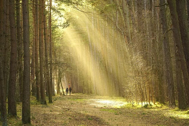 How to Measure Your Success on Your Influencer Path