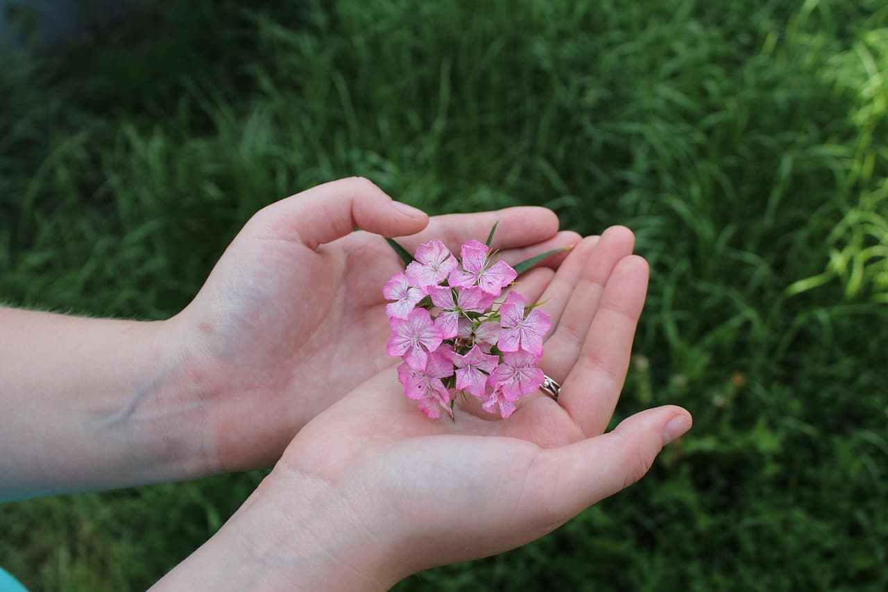 Essential Strategies for Staying Relevant on Your Influencer Path